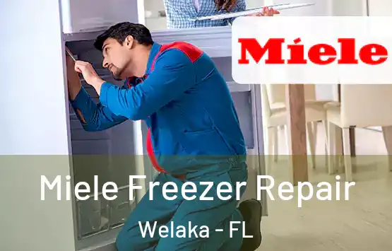  Miele Freezer Repair Welaka - FL