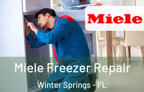  Miele Freezer Repair Winter Springs - FL