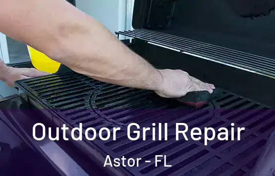  Outdoor Grill Repair Astor - FL