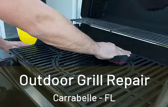  Outdoor Grill Repair Carrabelle - FL
