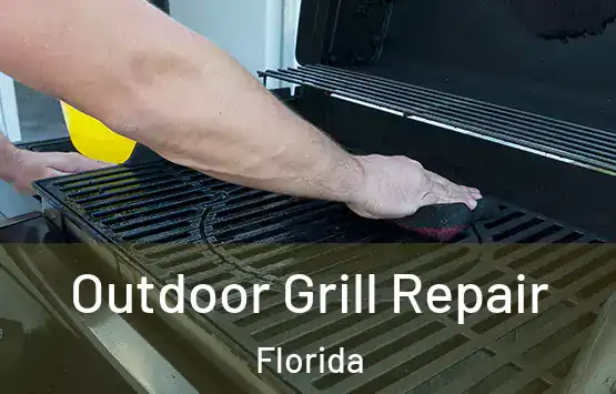  Outdoor Grill Repair Florida
