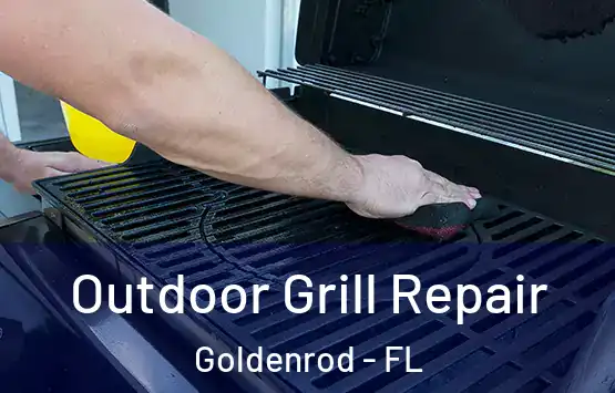  Outdoor Grill Repair Goldenrod - FL