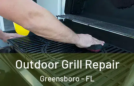  Outdoor Grill Repair Greensboro - FL