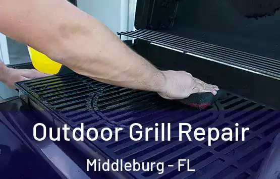  Outdoor Grill Repair Middleburg - FL