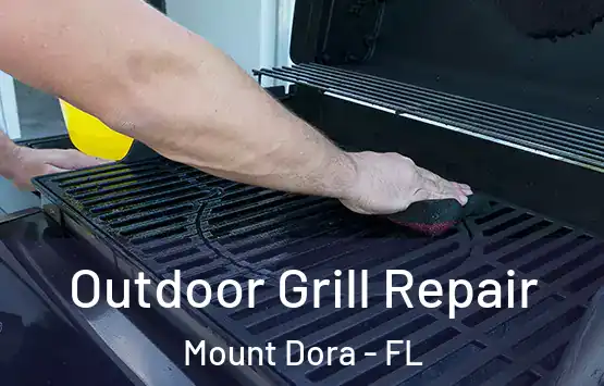 Outdoor Grill Repair Mount Dora - FL