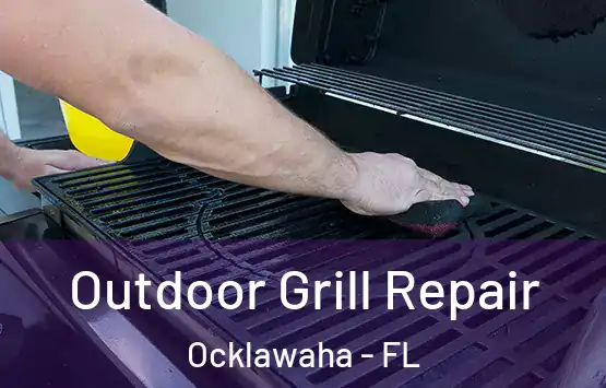  Outdoor Grill Repair Ocklawaha - FL