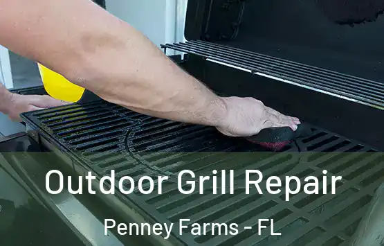  Outdoor Grill Repair Penney Farms - FL