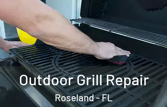  Outdoor Grill Repair Roseland - FL