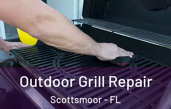  Outdoor Grill Repair Scottsmoor - FL