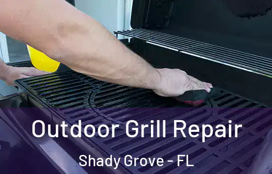  Outdoor Grill Repair Shady Grove - FL