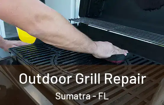  Outdoor Grill Repair Sumatra - FL