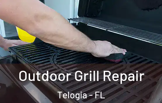  Outdoor Grill Repair Telogia - FL
