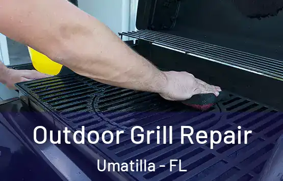  Outdoor Grill Repair Umatilla - FL