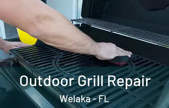  Outdoor Grill Repair Welaka - FL