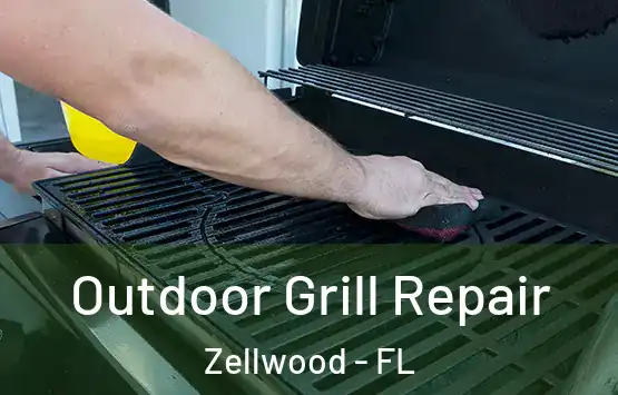  Outdoor Grill Repair Zellwood - FL