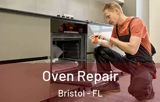 Oven Repair Bristol - FL