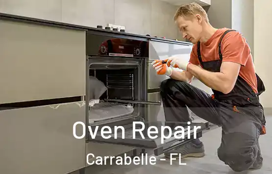  Oven Repair Carrabelle - FL