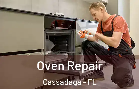  Oven Repair Cassadaga - FL