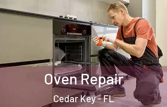  Oven Repair Cedar Key - FL