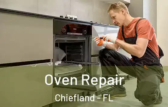  Oven Repair Chiefland - FL