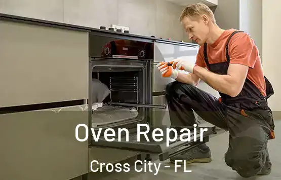  Oven Repair Cross City - FL