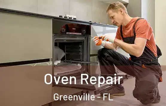  Oven Repair Greenville - FL