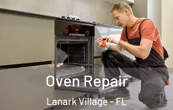 Oven Repair Lanark Village - FL