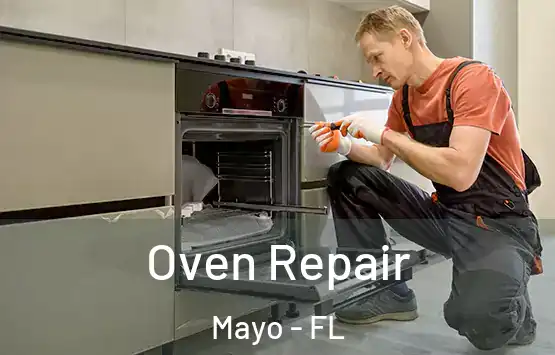  Oven Repair Mayo - FL