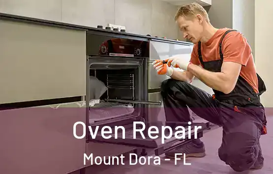  Oven Repair Mount Dora - FL