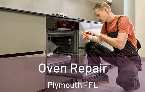  Oven Repair Plymouth - FL