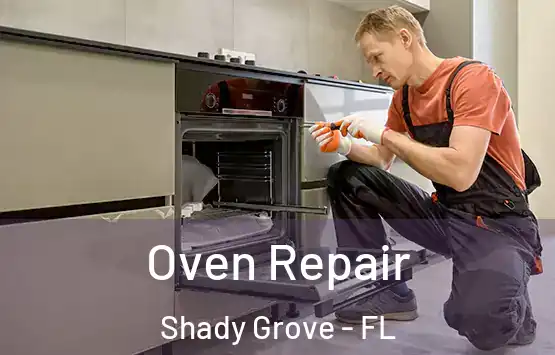  Oven Repair Shady Grove - FL