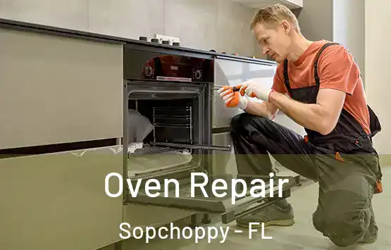  Oven Repair Sopchoppy - FL
