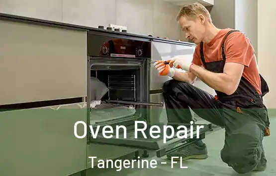 Oven Repair Tangerine - FL