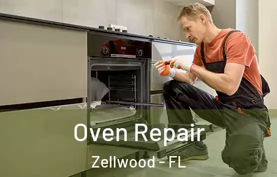  Oven Repair Zellwood - FL