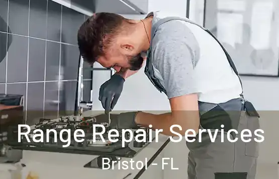  Range Repair Services Bristol - FL