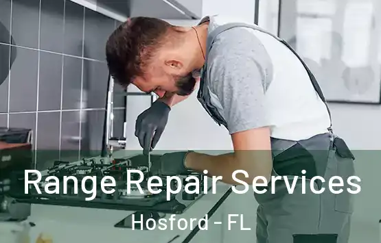  Range Repair Services Hosford - FL