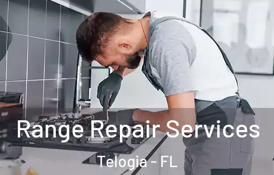  Range Repair Services Telogia - FL