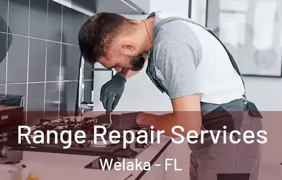  Range Repair Services Welaka - FL