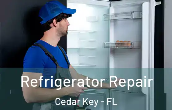  Refrigerator Repair Cedar Key - FL