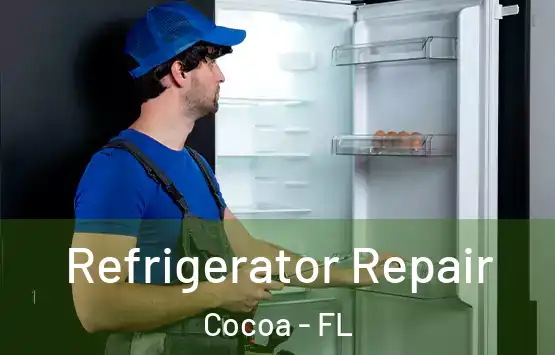  Refrigerator Repair Cocoa - FL