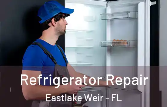 Refrigerator Repair Eastlake Weir - FL