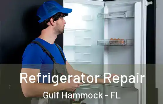  Refrigerator Repair Gulf Hammock - FL
