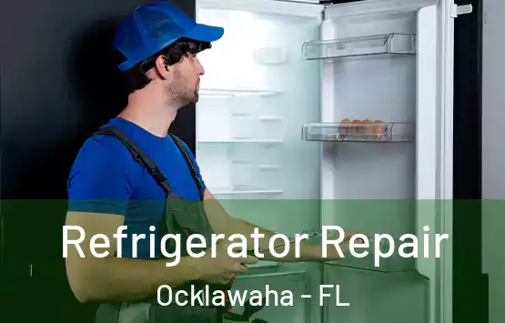  Refrigerator Repair Ocklawaha - FL