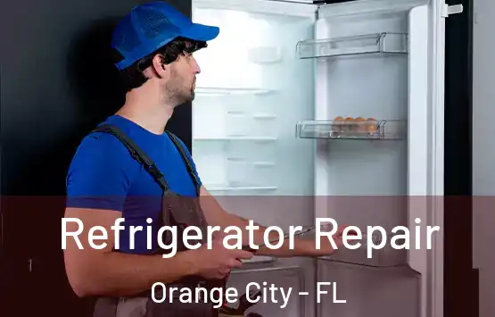  Refrigerator Repair Orange City - FL