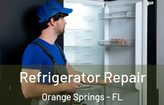  Refrigerator Repair Orange Springs - FL