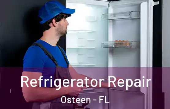  Refrigerator Repair Osteen - FL