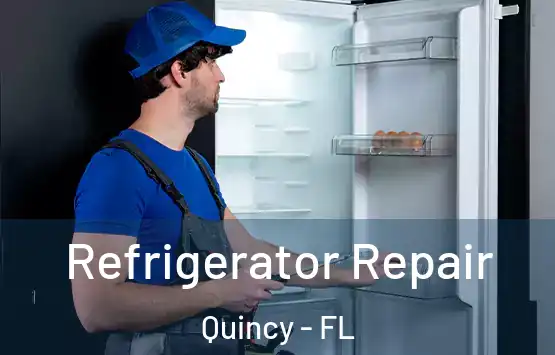  Refrigerator Repair Quincy - FL