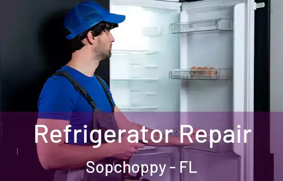  Refrigerator Repair Sopchoppy - FL