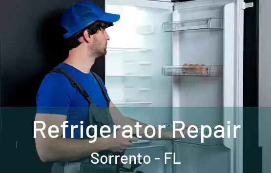  Refrigerator Repair Sorrento - FL