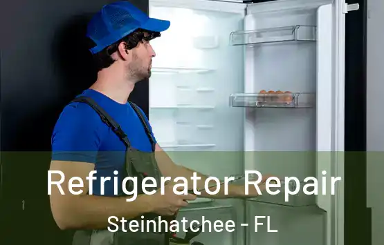  Refrigerator Repair Steinhatchee - FL